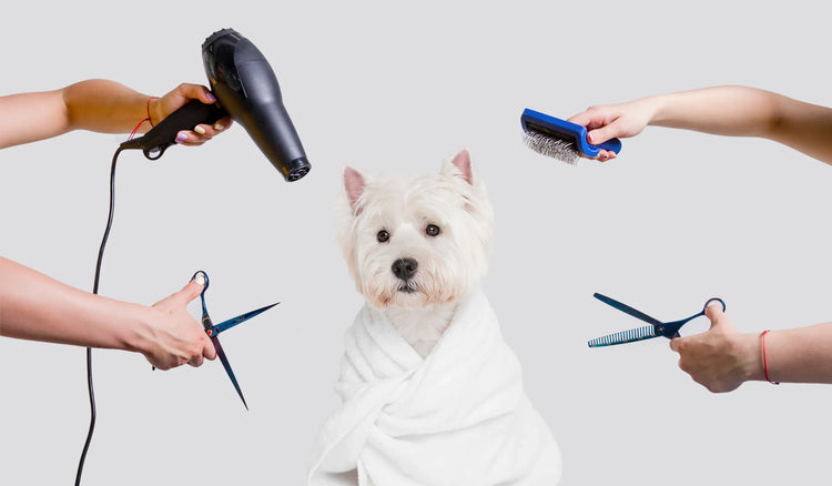 Pet Grooming Tool